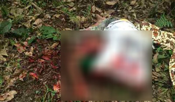 Korban Pembunuhan, Kakek 64 tahun