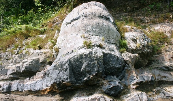 <b>Foto:</b> Fosil Purba Geopark Merangin Hilang