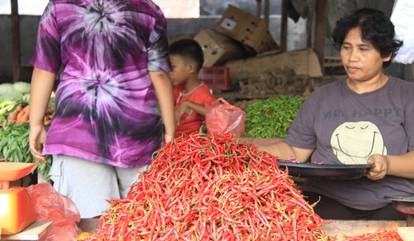 Harga cabai merah naik drastis jelang Idul Adha. F/M KHAIDIR/JAMBIUPDATE   