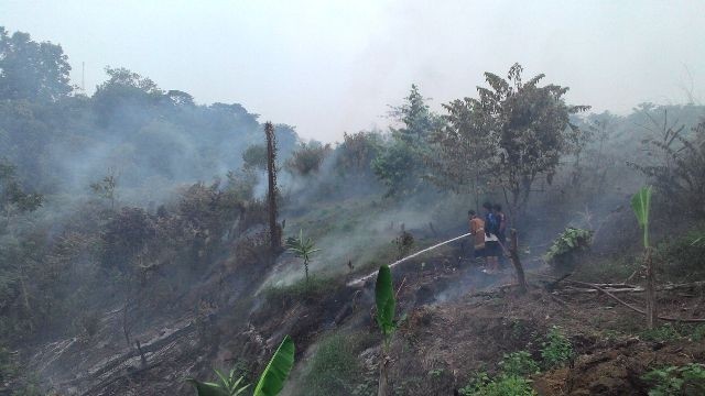 Petugas Damkar Bungo saat berusaha memadamkan kebakaran lahan di depan kantor DPRD Bungo