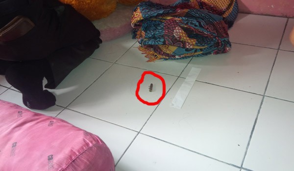 <b>Foto:</b>Selongsong Peluru