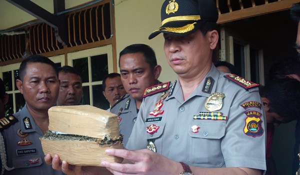 Kapolresta Jambi Kombes Kristono memperlihatkan barang bukti ganja kering hasil tangkapan tadi siang (31/10)