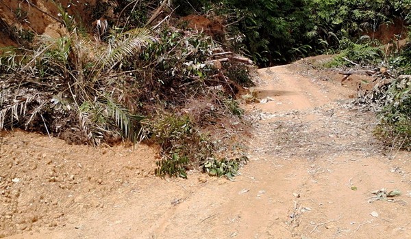 Akibat longsor, jalan menuju Bukit Bulan Kecamatan Limun, nyaris putus.