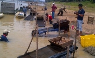 Aktivitas PETI di Desa Pulau, Batanghari.