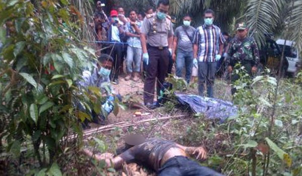 Penemuan mayat dikebun sawit sarolangun