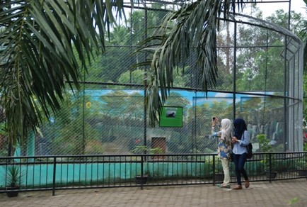 Pengunjung mengambil gambar Burung Unta dan Domba Garut yang merupakan koleksi terbaru dari Taman Rimba. 