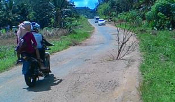 <b>Foto:</b> Kondisi jalan menuju Kecamatan Rimbo Ulu.   