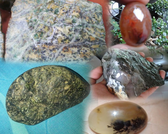 Arah jaru jam: Pirus Kerinci, Lumut Merah, Lumut Kerinci,  Sungai Bermas dan Badar Lumur Kerinci. F/NET  