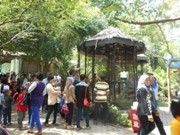 Suasana di Taman Rimba Jambi