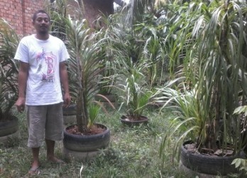 Adi Ismanto dan anggrek macan 