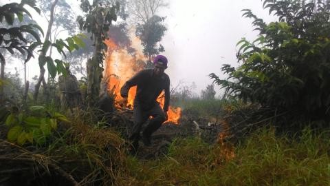 Warga berusaha memadamkan api di Tanjabtim
