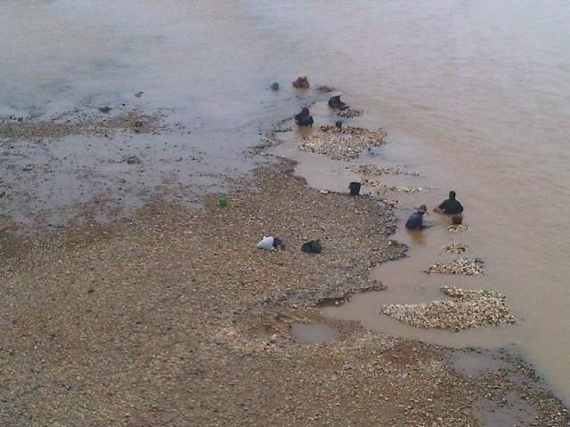 Warga yang tengah mendulang emas 