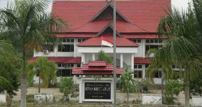 Kantor Dinas Kehutanan Tebo (Foto: Fajar Abdillah / panoramio.com)