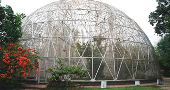 Taman Rimba Kota Jambi.