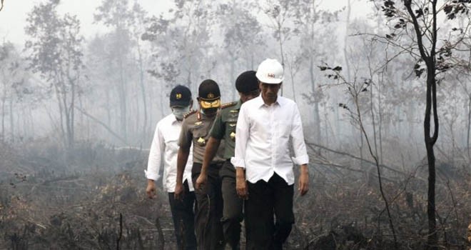 Presiden RI Joko Widodo meninjau langsung titik api di Desa Geronggong, Kecamatan Pedamaran Timur, Kabupaten Ogan Komering Ilir, Sumatera Selatan.