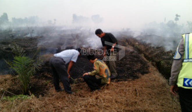 Edi Purwanto Saat Tinjau Kebakaran Hutan di Desa Rotan Udang.