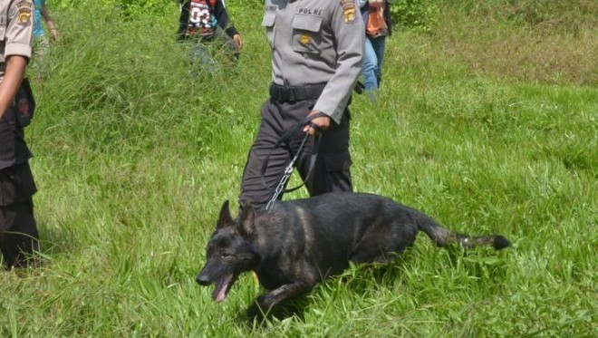 Salah satu anjing pelacak milik Polda Jambi