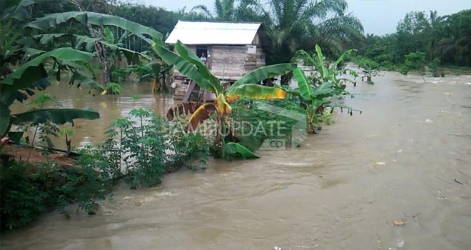 Banjir Bandang menerjang Desa Sungai Toman, Kecamatan Mendahara Ulu (Menhul), Kabupaten Tanjab Timur.