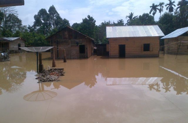 Rumah yang terendam banjir di Tebo