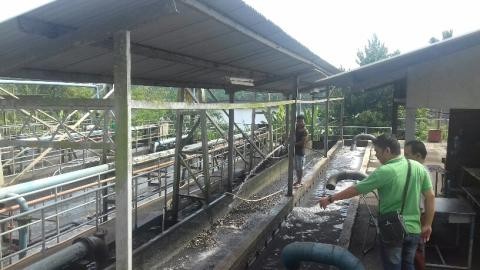 Limbah milik PT Mega Sawindo di Bungo