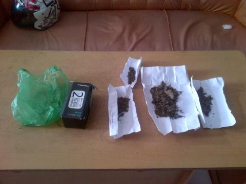 Ganja yang ditemukan oleh honorer Pemkab Tanjab Barat