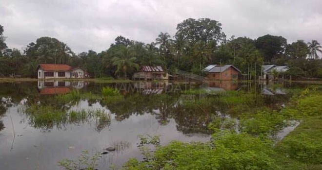 Tampak rumah di Desa Lubuk Jering Sarolangun Terendam.