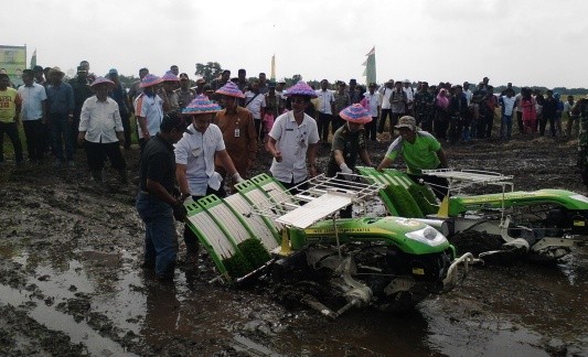 Gubernur Jambi, Zumi Zola saat membajak sawah