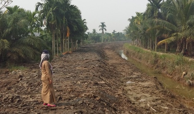 Irigasi di Tanjab Timur. Tahun ini, Dinas PU fokus membangun irigasi di Tanjabtim