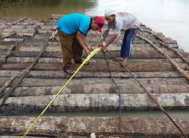 Barang bukti kayu log yang diamankan Polres Batanghari