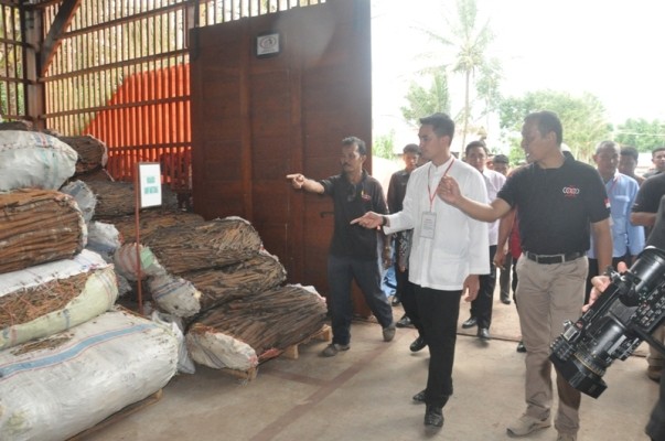 Zumi Zola saat meninjau pabrik Cassia Co-op.