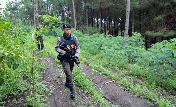 Foto ilustrasi dok.Jawa Pos Group