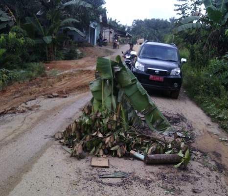 Jalan yang rusak di Desa Bulian Jaya, Kecamatan Maro Sebo Ilir, Kabupaten Batanghari, ditanami warga dengan pisang.