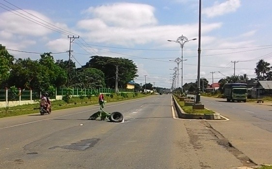 Jalan dua jalur Kabupaten Tebo yang ditanami pohon pisang, Kamis (28/4).