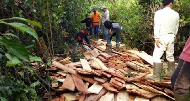  Polisi Hutan (Polhut) Dinas Kehutanan Kabupaten Tanjung Jabung Barat, mengamankan 16,8 kubik kayu ilegal.