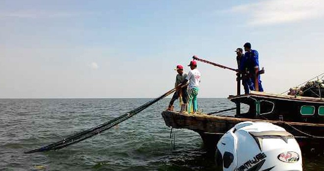 Nelayan Trawl