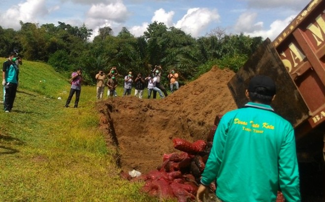 Pemusnahan bawang ilegal di Tanjab Timur beberapa waktu lalu