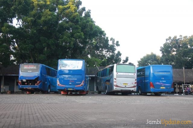 Bus di Terminal Alam Barajo Jambi