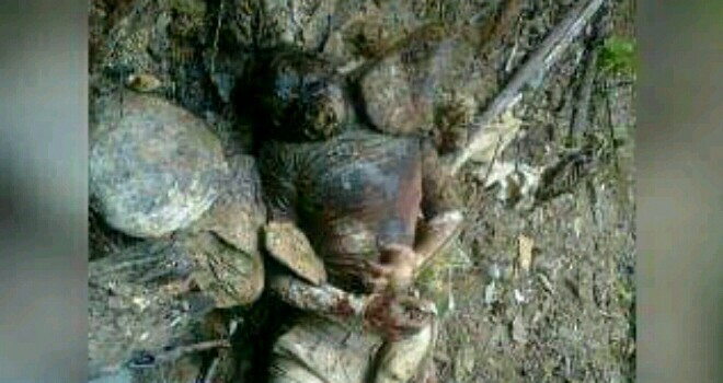 Mayat yang ditemukan warga batang asai.