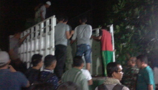 Dua singa jantan koleksi baru kebun binatang Taman Rimba, tiba di Kota Jambi, malam ini (12/8).