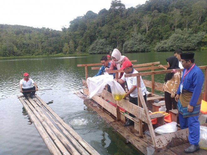 Gubernur Jambi Zumi Zola melepas bibit ikan semah di Danau Lingkat