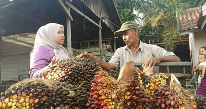 Masnah Busro saat berbincang hangat dengan salah seorang petani Muarojambi.