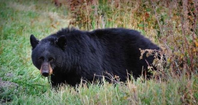 Ilustrasi. <i> Foto : Net </i>