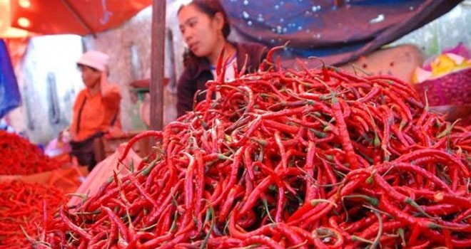 Harga Cabai semakin naik.