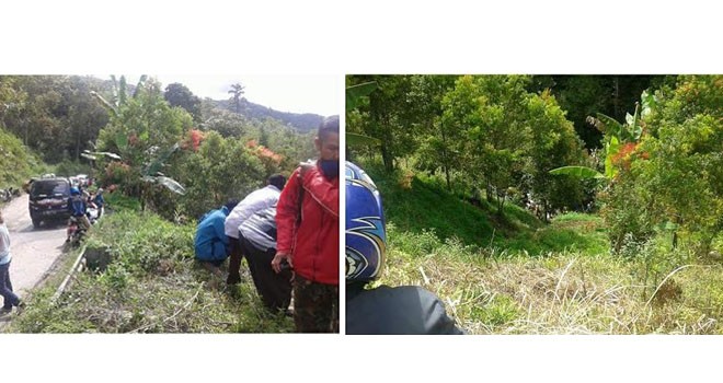 Mobil Pickup membawa kulit manis yang terjun ke jurang di Desa Ujung Ladang, Kerinci