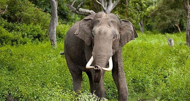 Ilustrasi. <i> Foto : Net </i>