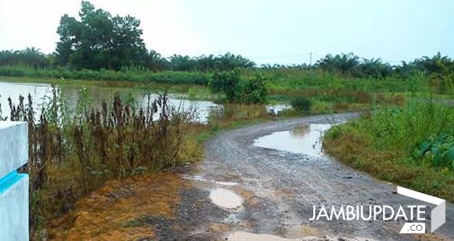 Tanaman Padi yang tenggelam akibat banjir.