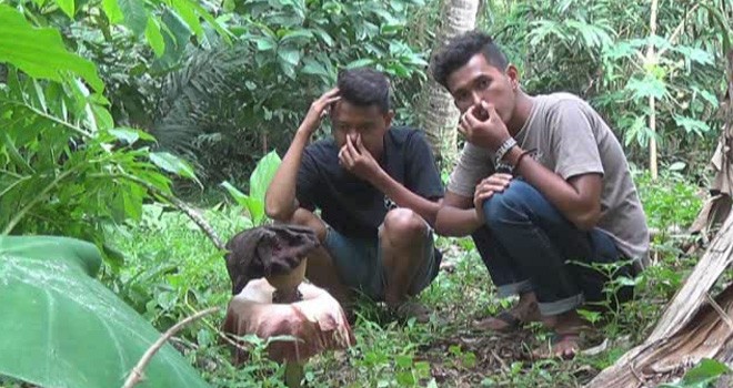 Bunga bangkai di halaman warga. Foto: Pojokpitu/JPG