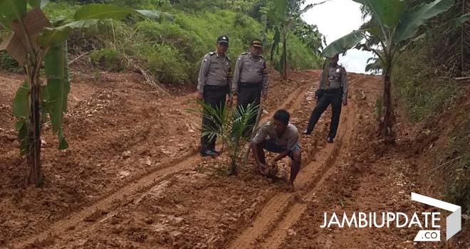 Tampak warga menanam sawit di tengah jalan akibat kondisi jalan yang semakin rusak parah.
