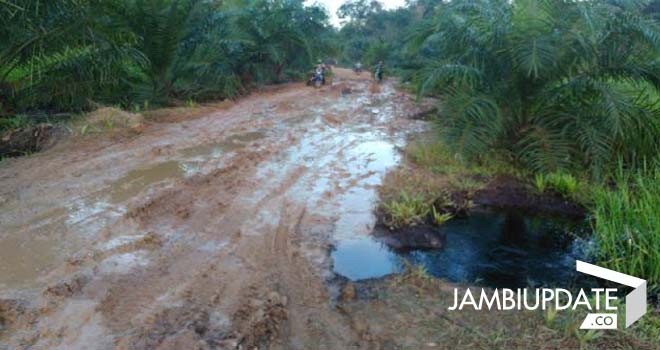 Kondisi jalan milik perusahaan yang melewati RW 04 Kelurahan Teluk Dawan.