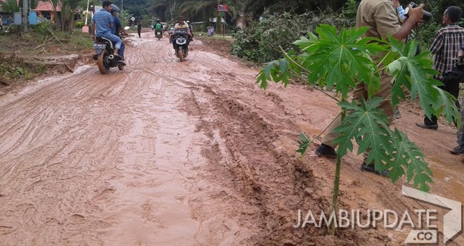 Ruas Jalan di Desa Kebun Sembilan Ditanami Pepaya.
